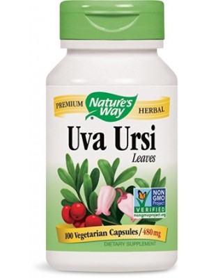 Uva Ursi 480 mg. 100 capsules